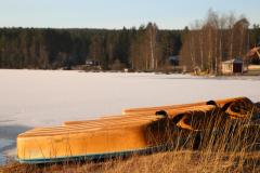IMG_8666