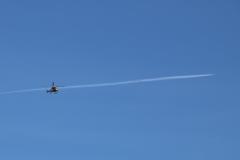 IMG_8784