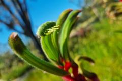 20221008_095636-1024x768